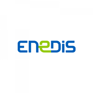 ENEDIS-300x300